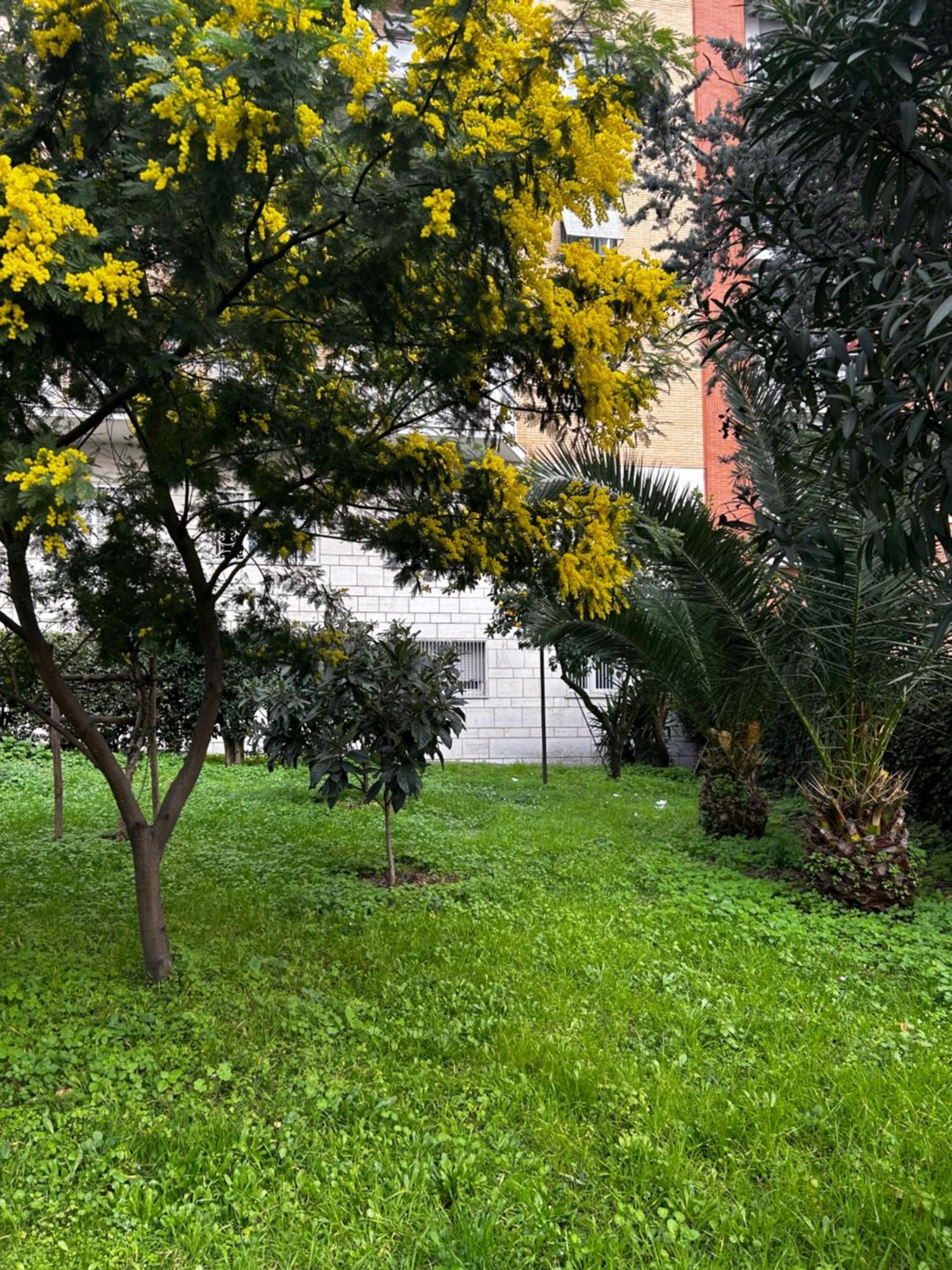 Bam Bam Tiburtina Guesthouse Ρώμη Εξωτερικό φωτογραφία